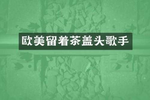 欧美留着茶盖头歌手