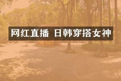 网红直播 日韩穿搭女神