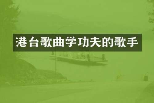 港台歌曲学功夫的歌手