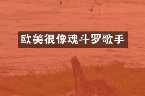 欧美很像魂斗罗歌手