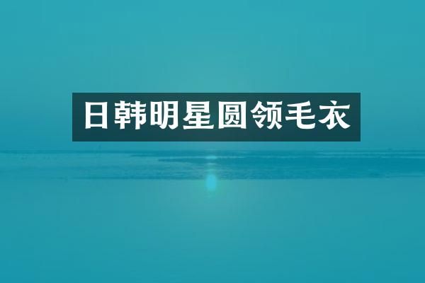 日韩明星圆领毛衣