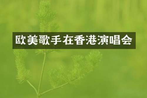 欧美歌手在香港演唱会