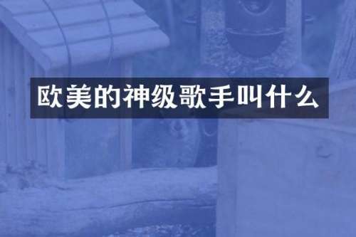 欧美的神级歌手叫什么