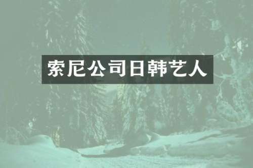 公司日韩艺人