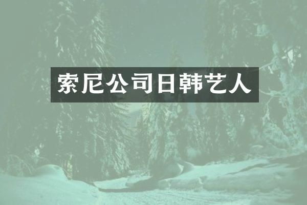 公司日韩艺人