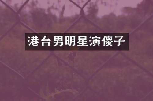 港台男明星演傻子