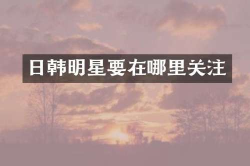 日韩明星要在哪里关注
