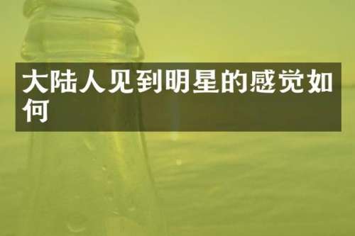 大陆人见到明星的感觉如何