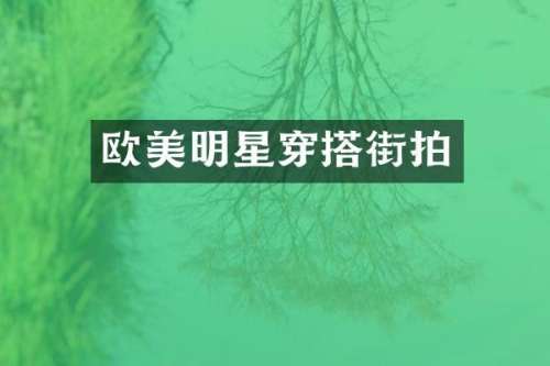 欧美明星穿搭街拍