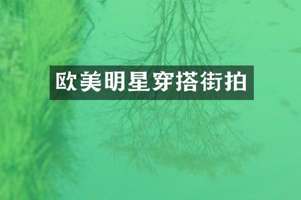 欧美明星穿搭街拍