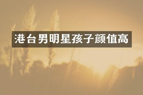 港台男明星孩子颜值高