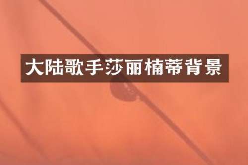 大陆歌手莎丽楠蒂背景