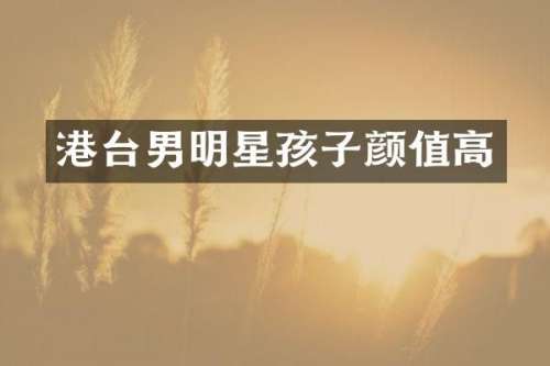 港台男明星孩子颜值高