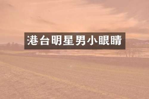港台明星男小眼睛