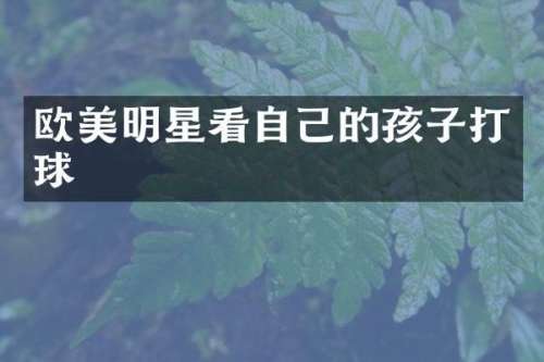 欧美明星看自己的孩子打球