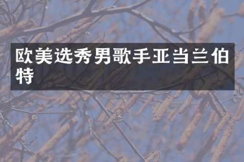 欧美选秀男歌手亚当兰伯特