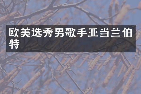 欧美选秀男歌手亚当兰伯特