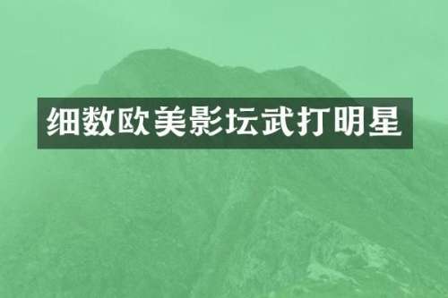 细数欧美影坛武打明星