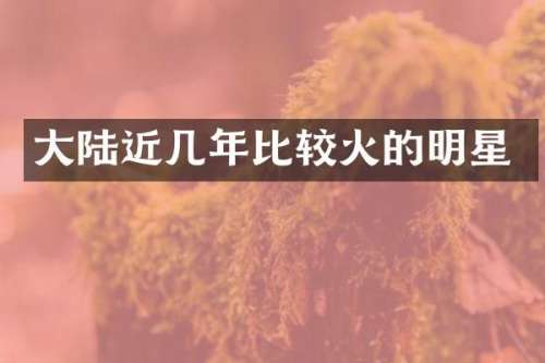 大陆近几年比较火的明星