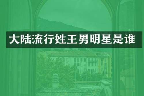 大陆流行姓王男明星是谁