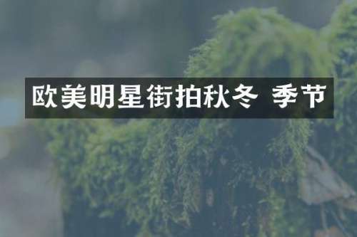欧美明星街拍秋冬 季节