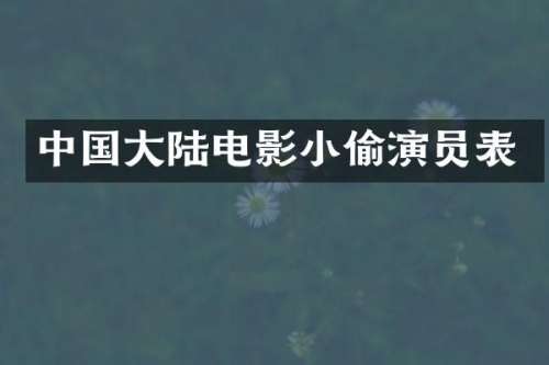 中国大陆电影小偷演员表