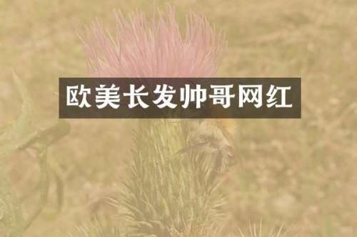 欧美长发帅哥网红