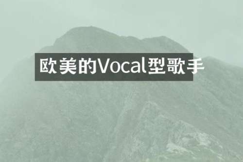 欧美的Vocal型歌手