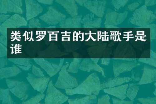 类似罗百吉的大陆歌手是谁