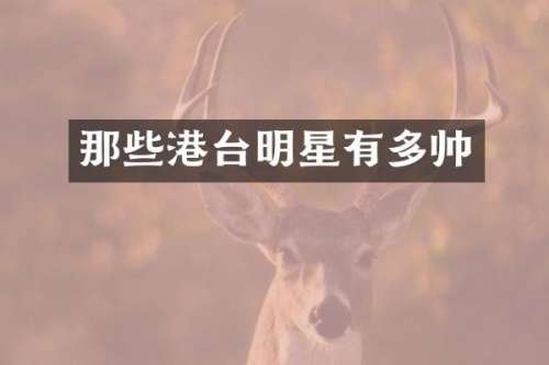 那些港台明星有多帅