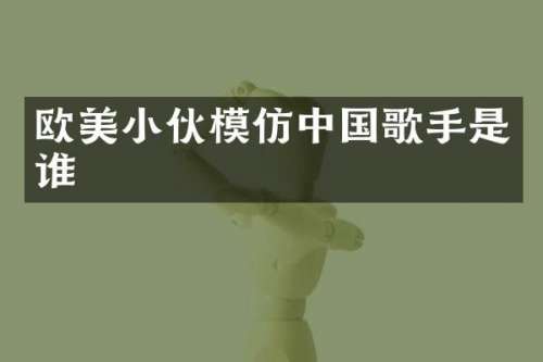欧美小伙模仿中国歌手是谁