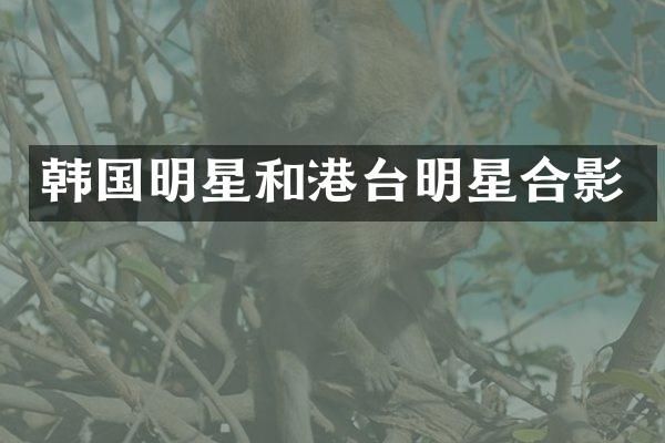 韩国明星和港台明星合影