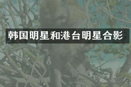 韩国明星和港台明星合影