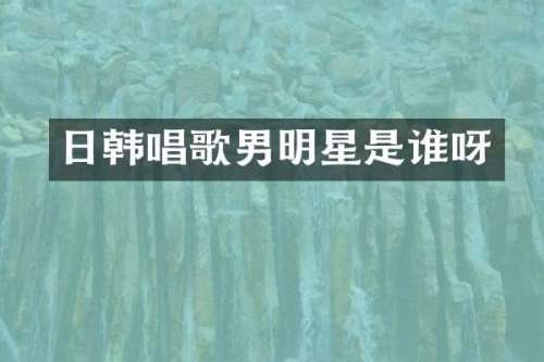 日韩唱歌男明星是谁呀