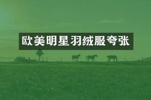 欧美明星羽绒服夸张