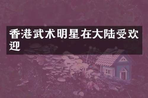 香港武术明星在大陆受欢迎