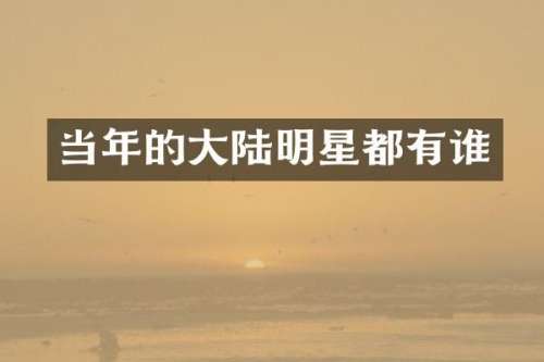 当年的大陆明星都有谁