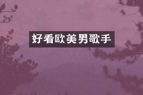 好看欧美男歌手