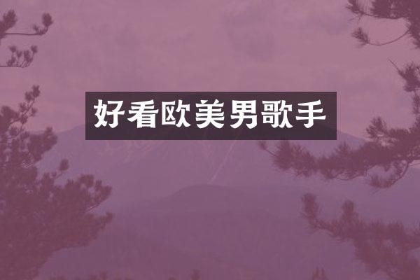 好看欧美男歌手