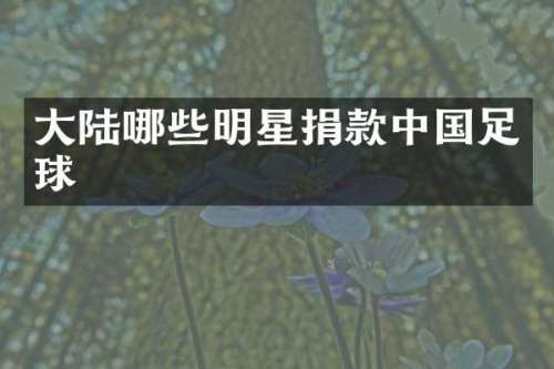 大陆哪些明星捐款中国足球