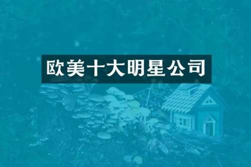 欧美十大明星公司