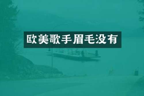 欧美歌手眉毛没有