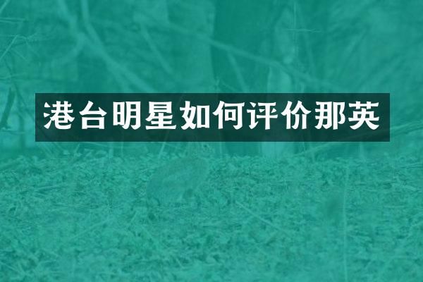 港台明星如何评价那英
