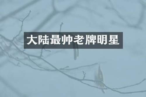 大陆最牌明星