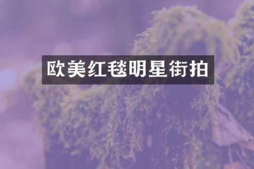 欧美红毯明星街拍