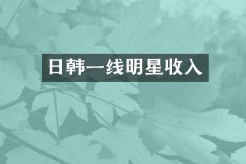 日韩一线明星收入