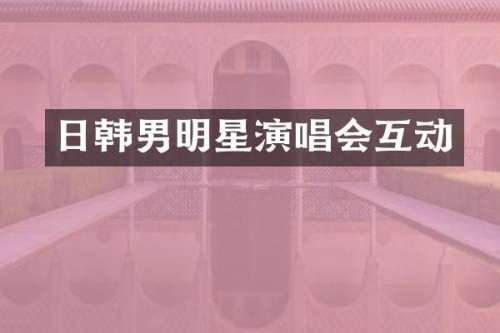日韩男明星演唱会互动