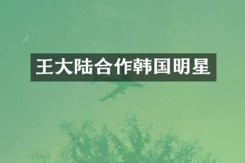 王大陆合作韩国明星