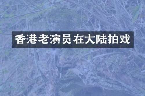 香港老演员在大陆拍戏