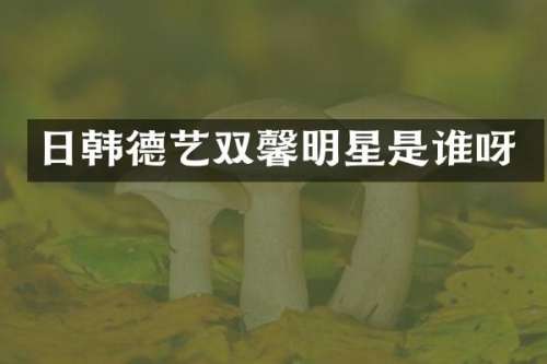 日韩德艺双馨明星是谁呀